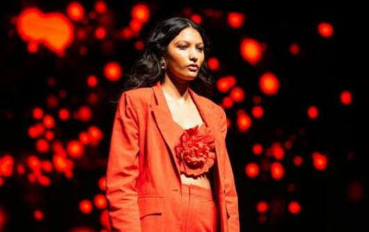Desfiles Marcam a Semana de Moda Mineira